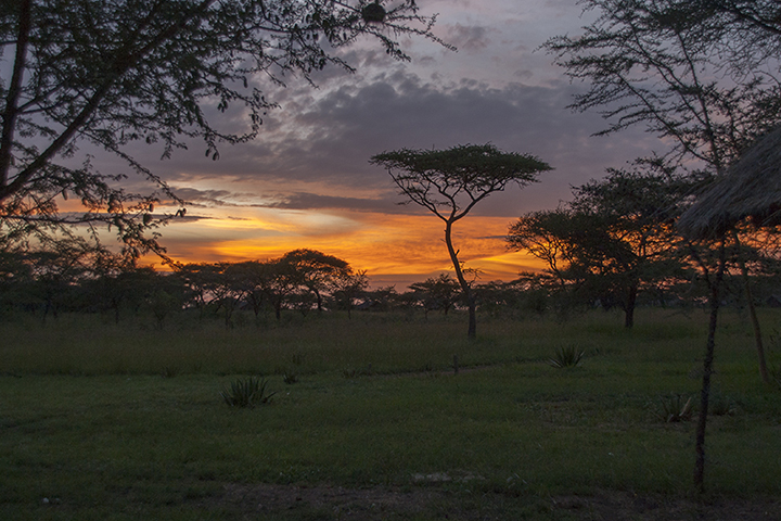 sunset on Serengeti-blog