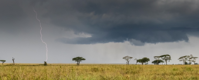 Serengeti Plain, Tanzania, February 2008