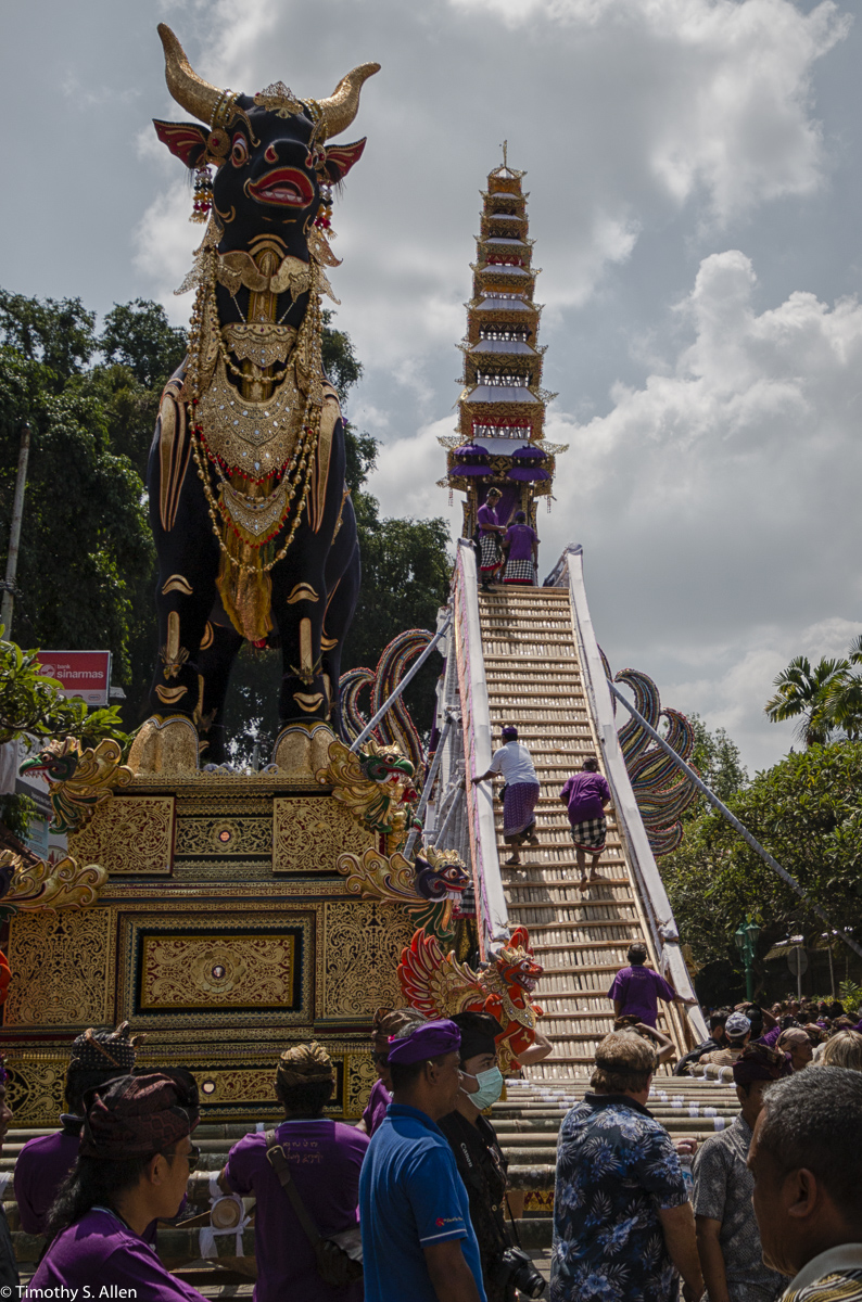 Cremation of the Ubud Bali Royal Family Member Cokorda Putra Widura. The base of the tower holds the coffined body as it and the bull are carried to the cemetery where the cremation takes place. The body Is placed atop of the bull and the bull is set afire. Ubud, Bali May 7, 2016