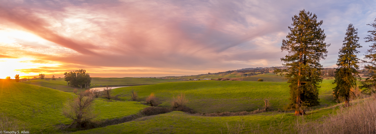 Southern Sonoma County Off of Stage Gulch Road CA Hwy 116, Sonoma County, CA, U.S.A. January 28, 2018