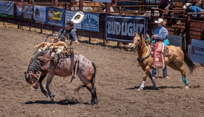 - Riding the Bucking Bronco, Russian River Rodeo, Duncans Mills, CA. June 22, 2019.